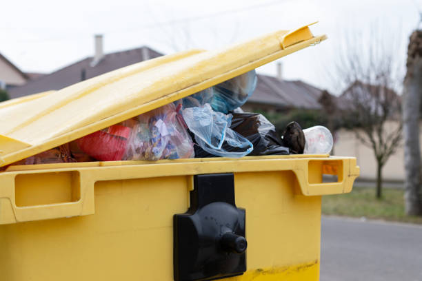 Best Moving and Downsizing Cleanouts  in Greenfield, OH